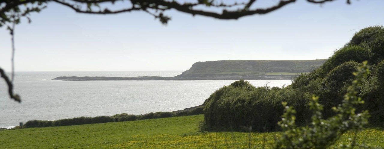 Horton beach, Gower