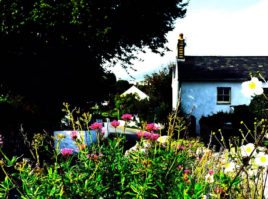 Limetree Cottage self-catering cottage, Port Eynon, Gower