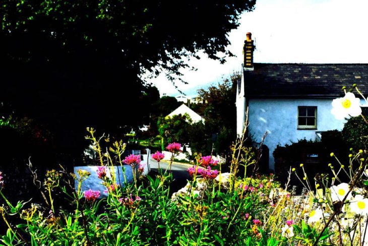 Limetree Cottage self-catering cottage, Port Eynon, Gower