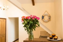 The kitchenette at Brynymor Cottage self-catering accommodation, Llangennith, Gower