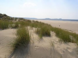 Sand dunes at Llangennith, Gower