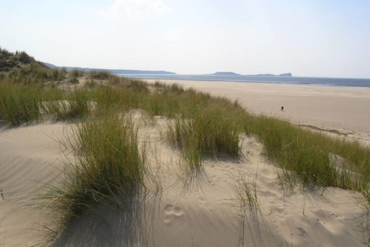 Sand dunes at Llangennith, Gower