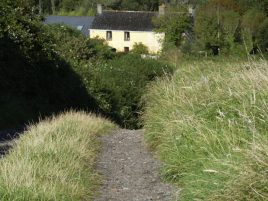 Track leading to Delvid Stables holiday cottage,Llangennith, Gower`