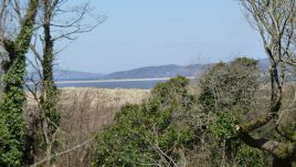 The view from the main house at Delvid Farm, Llangennith, Gower