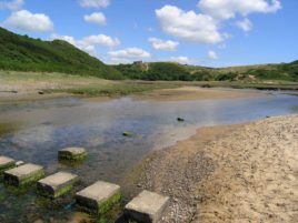 The stepping stones at Pennard Burrows