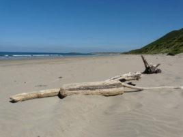 Rhossili Bay at sea level