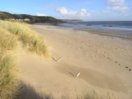 The Cove, Horton, Gower