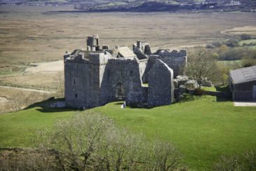 Weobley Castle