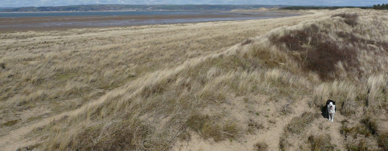 Whiteford Sands and Burrows, Gower