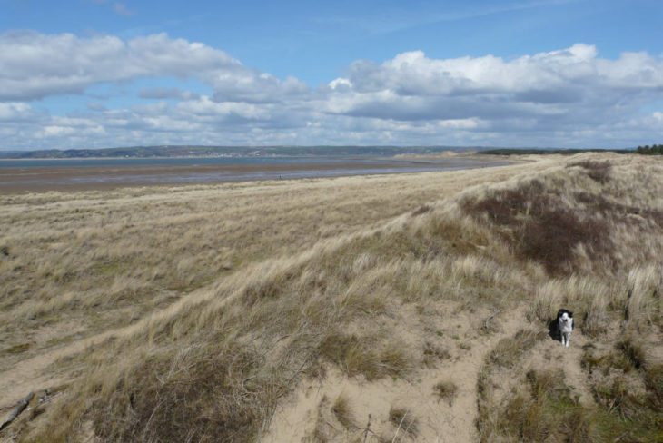 Whiteford Sands and Burrows, Gower Peninsula