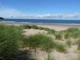 The beach just by Delvid Stables holiday cottage, Llangennith, Gower