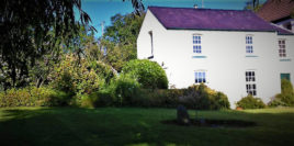 Garden of Plum Cottage Llangennith self-catering Gower Peninsula