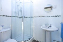 The en-suite shower room at The Tractor House holiday cottage, Llethryd, Gower Peninsula