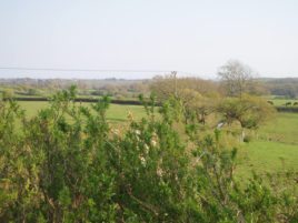 Springtime on Pengwern Farm holiday cottages, Llethryd, Gower, near Swansea