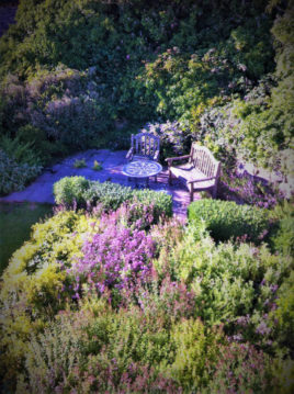 The patio at Plum Cottage Llangennith self-catering Gower Peninsula