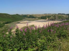 Explore Pennard Burrows - just one of many great things to do in Gower