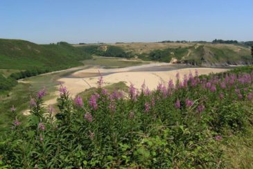 Explore Pennard Burrows - just one of many great things to do in Gower