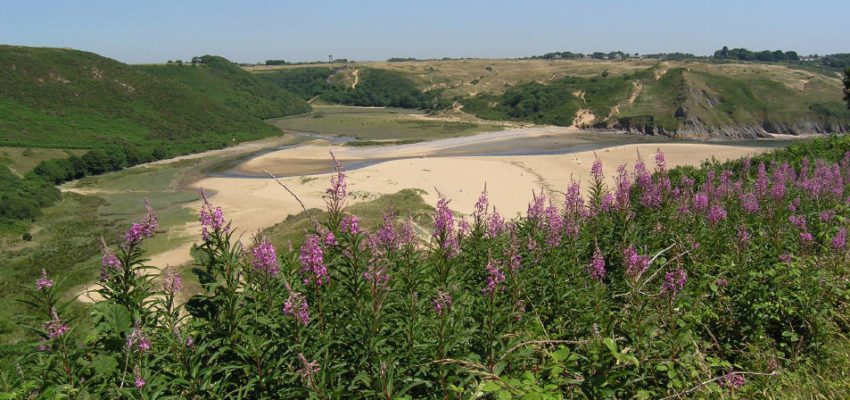 Explore Pennard Burrows - just one of many great things to do in Gower