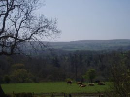 The view from The Tractor House holiday cottage, Llethryd, Gower, near Swansea