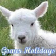 (c) Gowerholidays.com