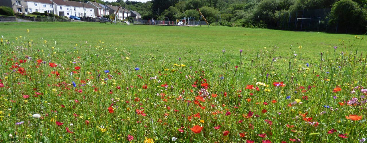 Dunvant on the edge of the Gower Peninsula