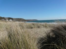 The beach at Horton in The Gower Peninsula