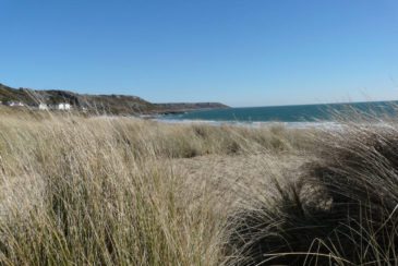 The beach at Horton in The Gower Peninsula