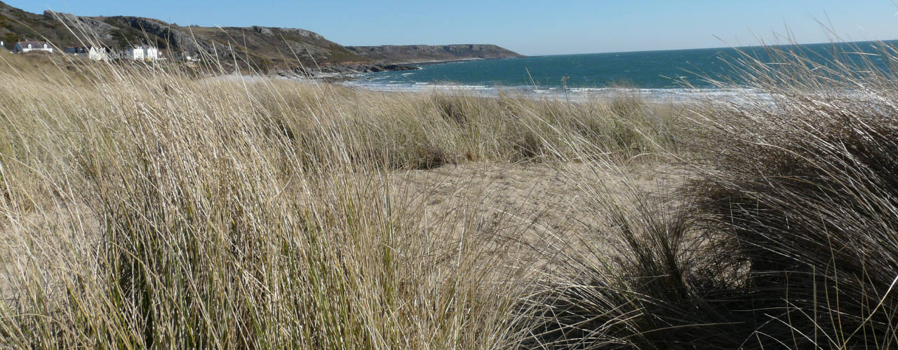 The beach at Horton in The Gower Peninsula