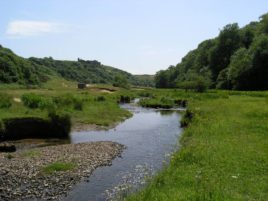 The stream flowing from Parkmill to Three Cliffs Bay, Gower Peninsula